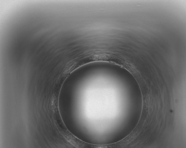 X0000054420079200508051817