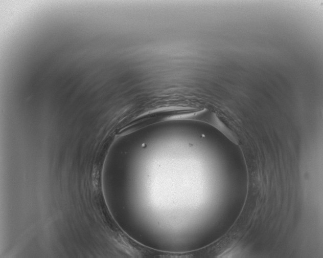 X0000054420081200508051817