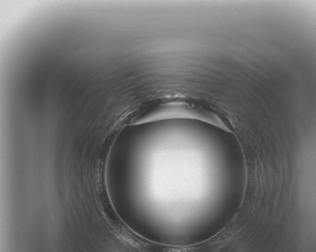 X0000054420084200508051817