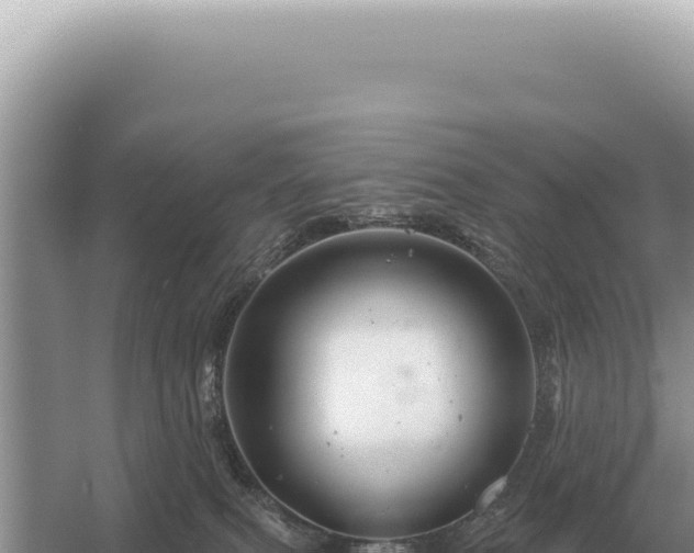 X0000054420087200508051817