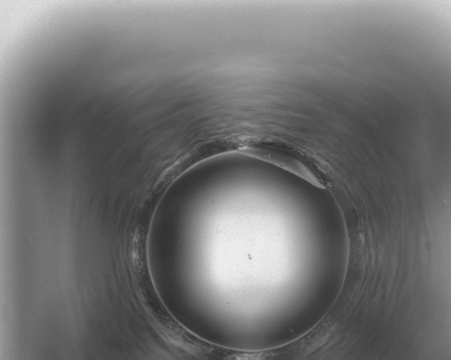 X0000054420088200508051817