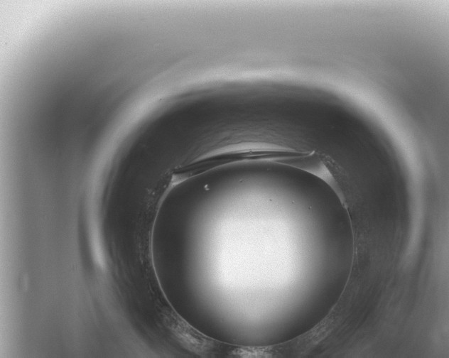 X0000054420093200508051817