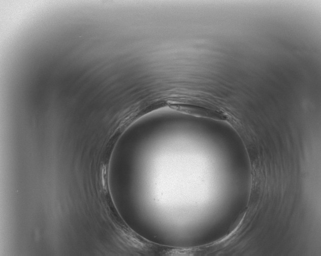 X0000054420094200508051817