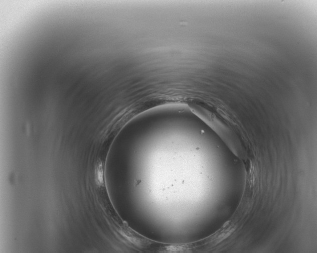 X0000054420095200508051817