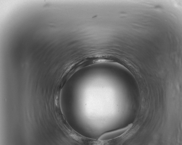 X0000054420096200508051817