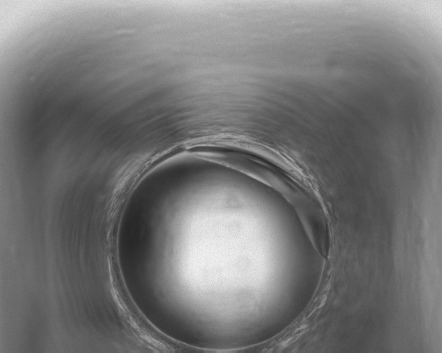 X0000054420097200508051816