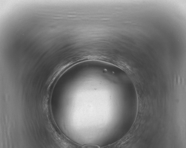 X0000054420098200508051816