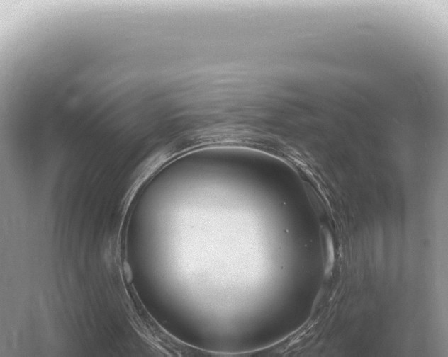 X0000054420099200508051816