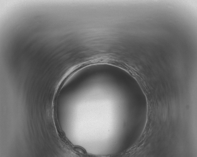 X0000054420100200508051816