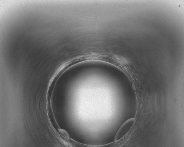 X0000054420102200508051816