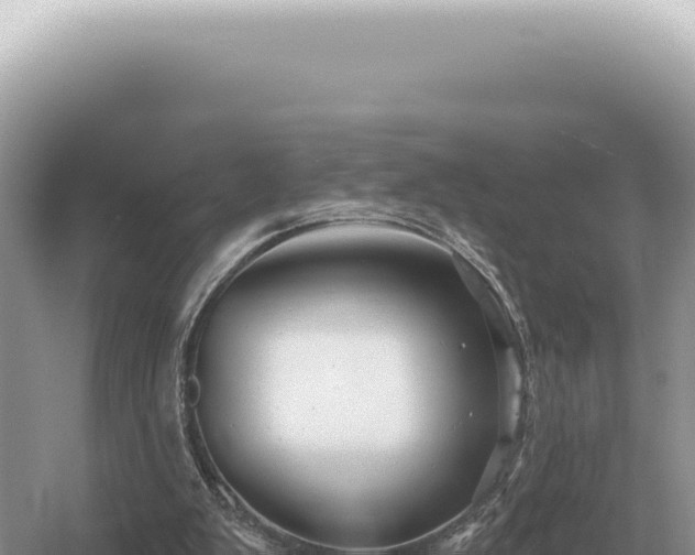 X0000054420103200508051816