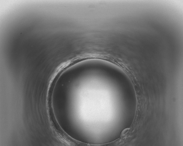 X0000054420104200508051816