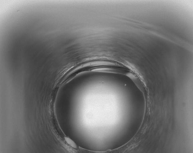 X0000054420105200508051816