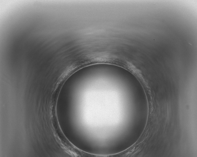 X0000054420106200508051816