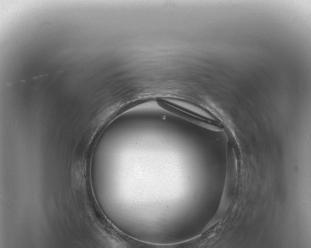 X0000054420107200508051816