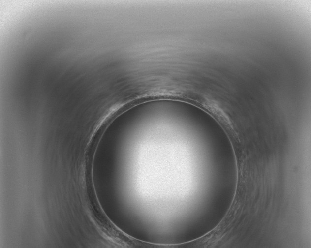 X0000054420108200508051816