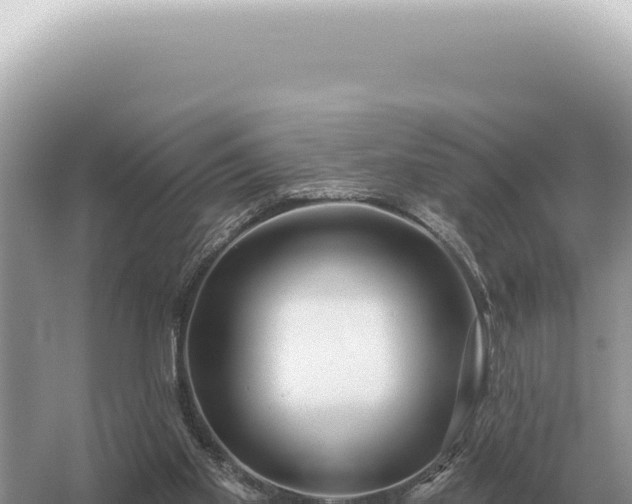 X0000054420109200508051816