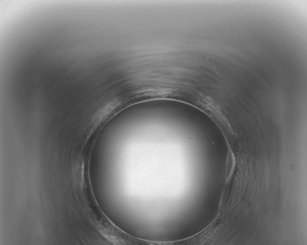 X0000054420110200508051816