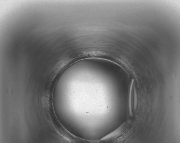 X0000054420111200508051816