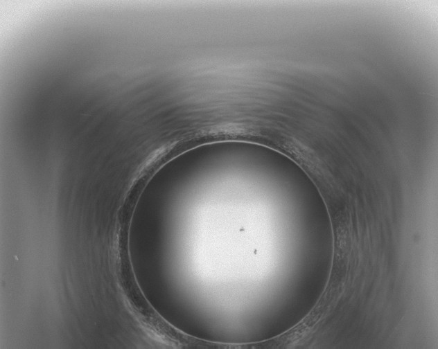 X0000054420112200508051816