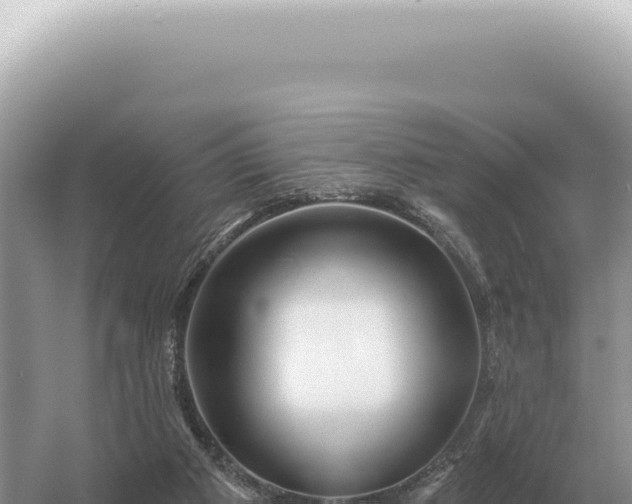 X0000054420113200508051816