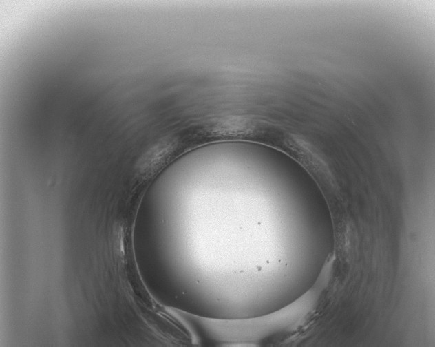 X0000054420115200508051816