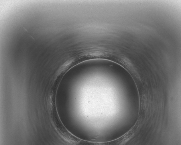 X0000054420116200508051816