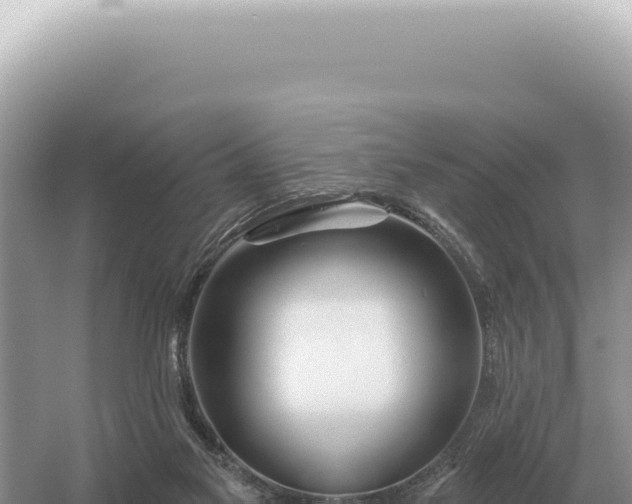 X0000054420117200508051816