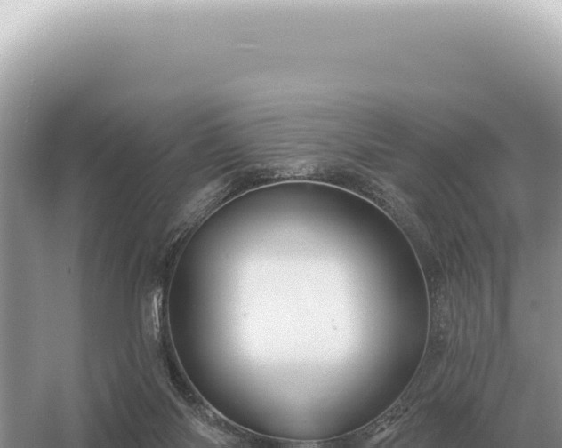 X0000054420118200508051816