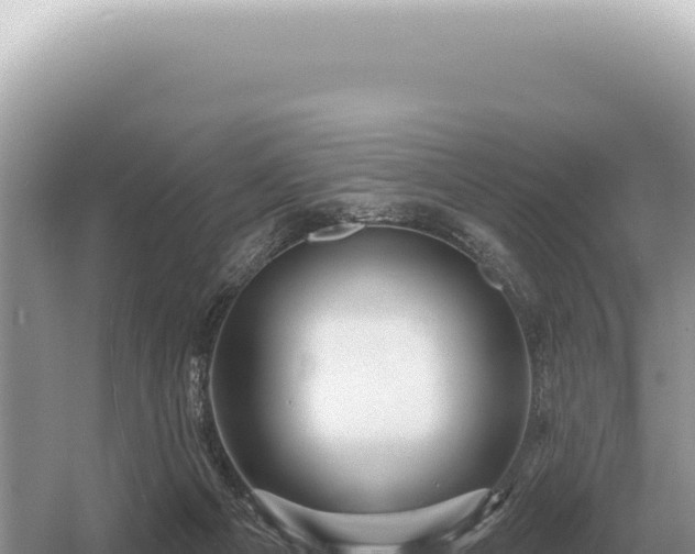 X0000054420121200508051816