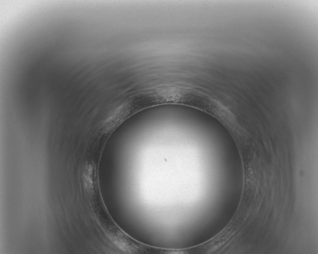 X0000054420122200508051816