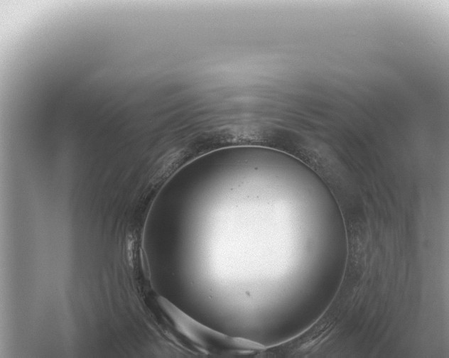 X0000054420123200508051816