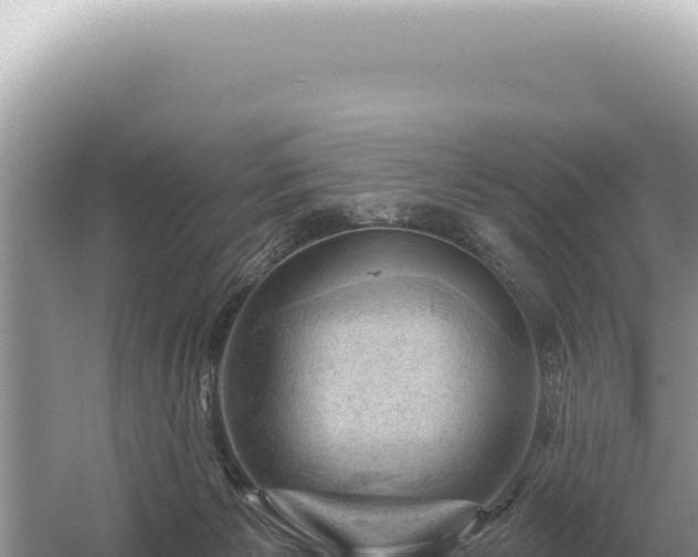 X0000054420125200508051816