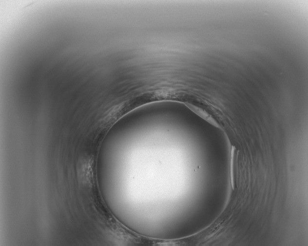 X0000054420127200508051816