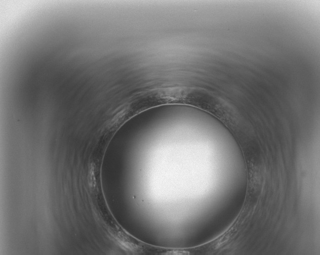 X0000054420128200508051816