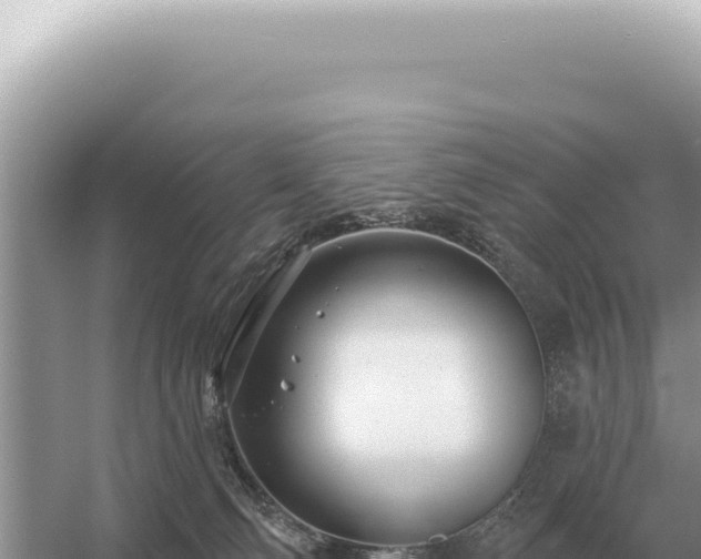 X0000054420130200508051816