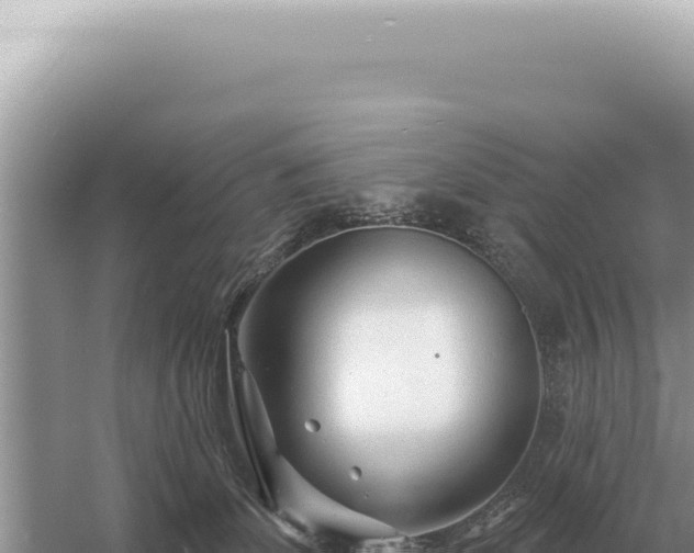 X0000054420131200508051816