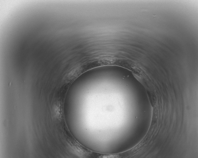 X0000054420134200508051816