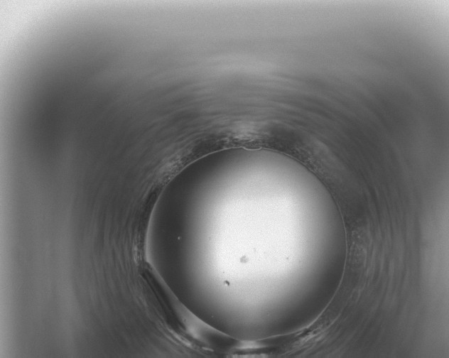 X0000054420135200508051816