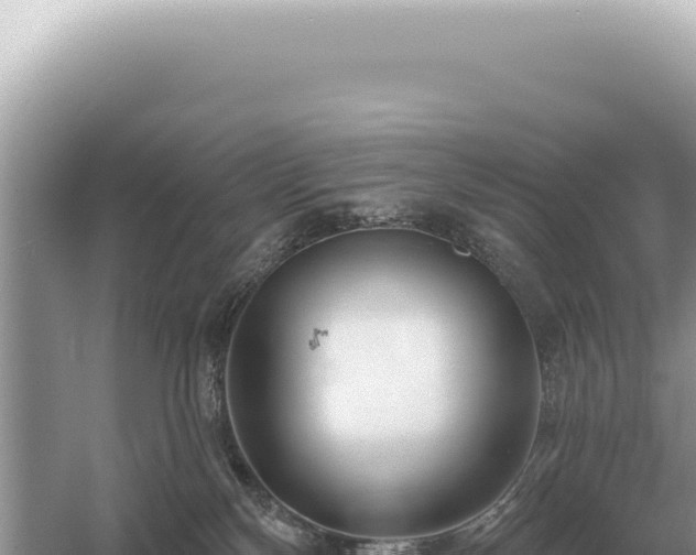 X0000054420136200508051816