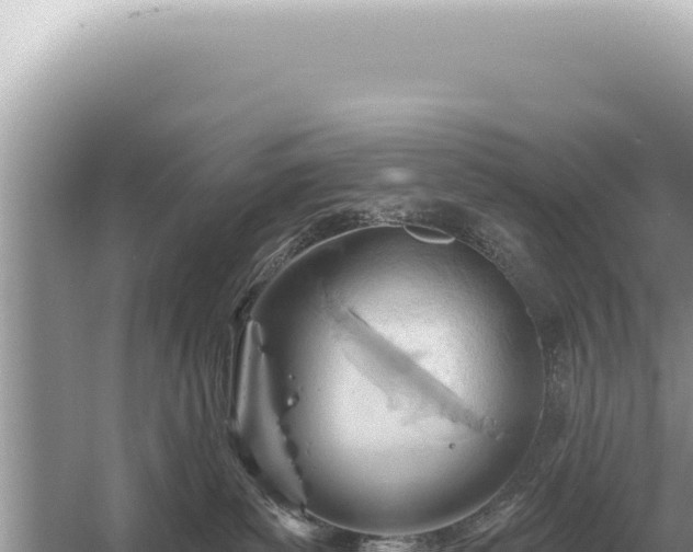 X0000054420139200508051816