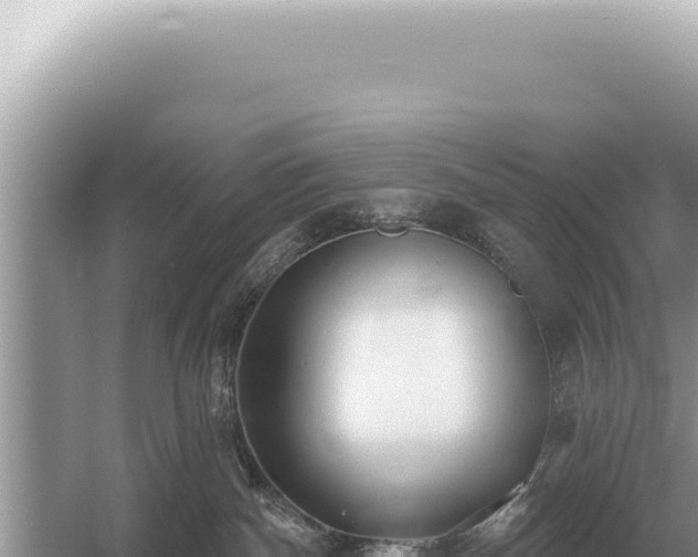 X0000054420140200508051816