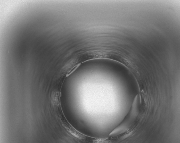 X0000054420141200508051816