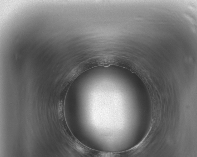 X0000054420144200508051815