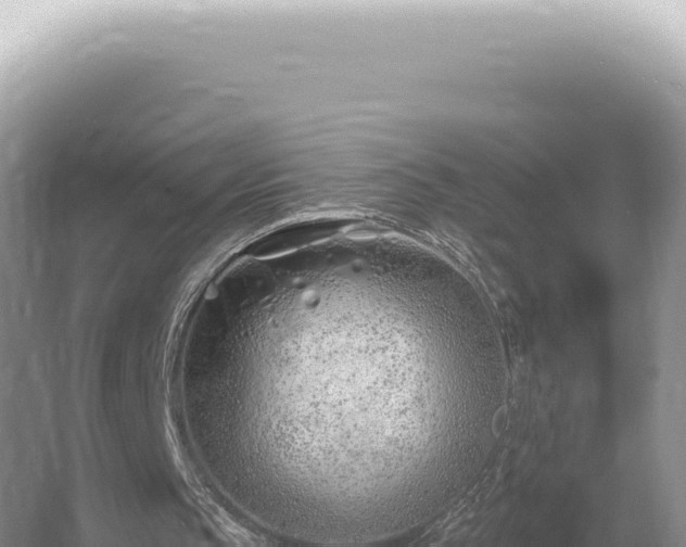 X0000054420145200508051815