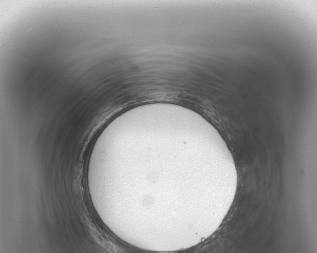 X0000054420146200508051815