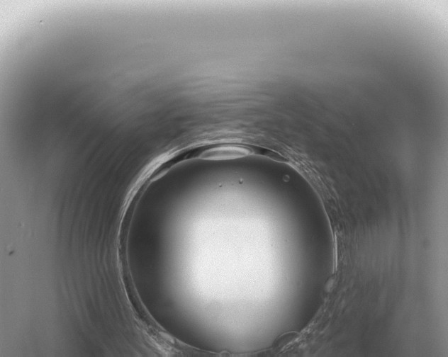 X0000054420147200508051815