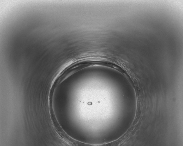 X0000054420148200508051815