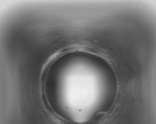 X0000054420149200508051815