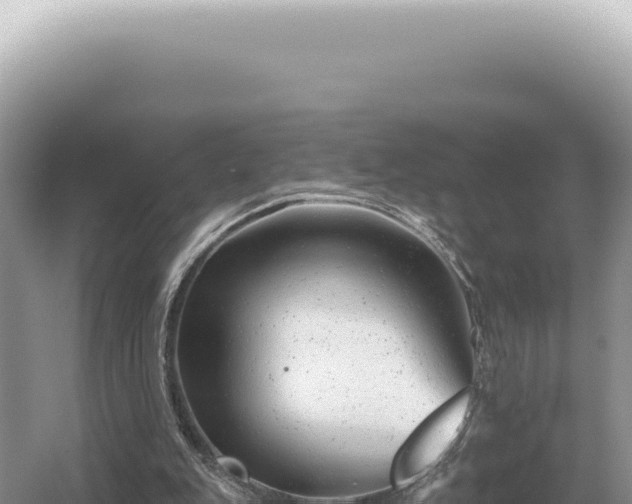 X0000054420151200508051815